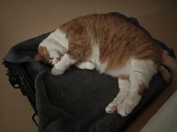 IMG_20250303_021946.jpg