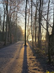 20250303_074425.jpg