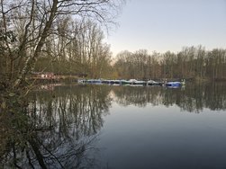 20250303_071556.jpg