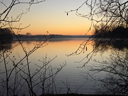 20250303_071312.jpg