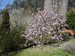 IMG_20250303_123715.jpg
