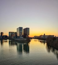 20250302_180931.JPG