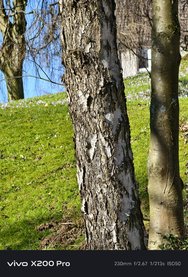 Vergleich14_x200pro.jpg