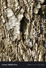 Vergleich16_x200pro.jpg