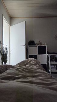 20250303_150151.jpg