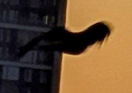 PXL_20250303_171527161~4.jpg