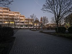 Automatik Expert Raw 24mp.jpg