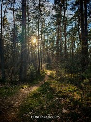 IMG_20250303_162034 (3).jpg