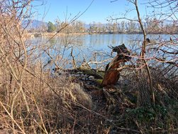 IMG_20250303_142901.jpg