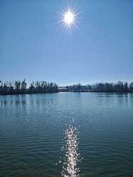 IMG_20250303_143202.jpg
