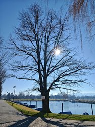 IMG_20250303_144920.jpg