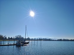 IMG_20250303_145138.jpg