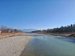 IMG_20250303_151536.jpg