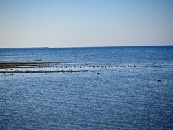 IMG_20250303_153337.jpg