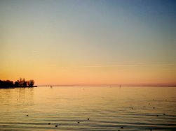 IMG_20250303_175915.jpg