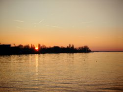 IMG_20250303_180233.jpg