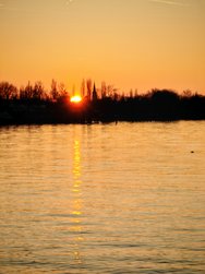IMG_20250303_180241.jpg