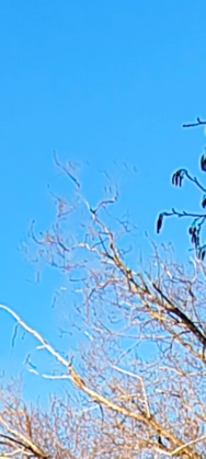 Screenshot_20250303-222411.Galerie.png