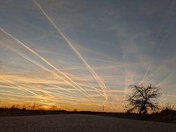 PXL_20250303_170236180.jpg
