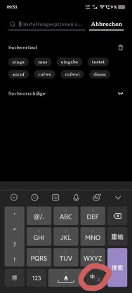 Screenshot_20250304_095345.jpg