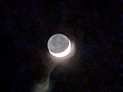 PXL_20250302_195355442.jpg