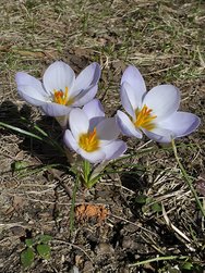 20250304_121820.jpg