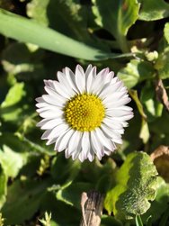 IMG_20250304_142954.jpg