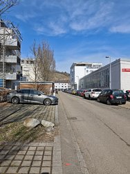 IMG_20250304_125510.jpg