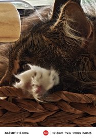 IMG_20250304_161418.jpg
