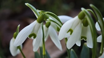IMG_20250304_175929.jpg