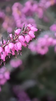 IMG_20250304_180847.jpg