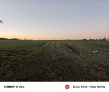 IMG_20250305_070954.jpg