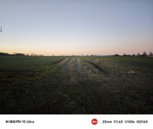 IMG_20250305_071008.jpg
