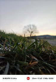 IMG_20250305_071556.jpg