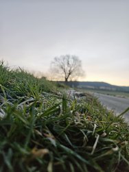IMG_20250305_071542.jpg