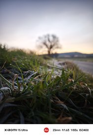 IMG_20250305_071615.jpg