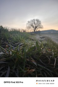 IMG_20250305_071804.jpg
