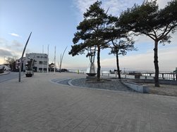 IMG20250227163216.jpg