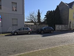 20250305_114939.jpg