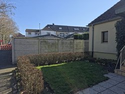 20250305_115239.jpg