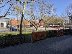 20250305_115518.jpg