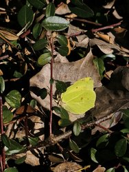 IMG_20250305_123237.jpg