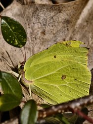 IMG_20250305_123355.jpg