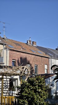 IMG_20250305_131417.jpg