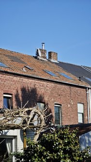 IMG_20250305_131419.jpg