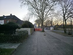 20250305_181607.jpg