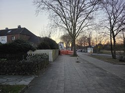 20250305_181602.jpg