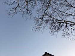 20250305_181525.jpg