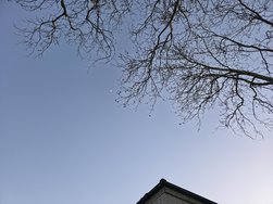 20250305_181531.jpg