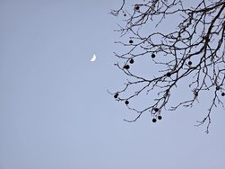 20250305_181538.jpg
